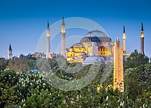 Sultanahmet Camii / Blue Mosque, Istanbul, Turkey