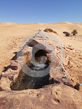 Sultanate of wounded in the desert of Alger