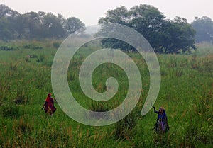 Sultanpur Bird Sanctuary (7/9)