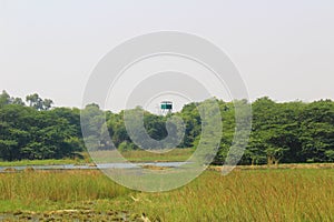 Sultanpur National Park