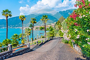 Sulzano viewed behind a garden at lake Iseo, Italy