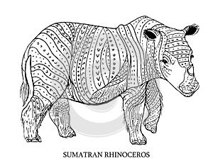 Sumatran rhinoceros. Rare animal, conservation status. Vector illustration photo