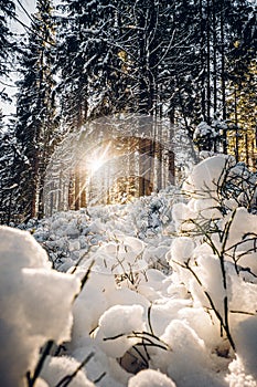 Sumava National Park in south bohemia in Czech reoublic