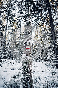 Sumava National Park in south bohemia in Czech reoublic