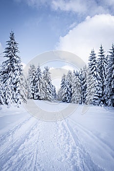 Sumava National Park in south bohemia in Czech reoublic