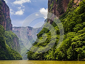 Sumidero Canyon and its lush forest from Grijalva river, Chiapas, Mexico