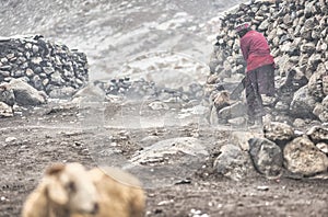 During the summer + 6 months women and children climb the Upper Shimshal 5600m to raise animals sheep, goats and yaks