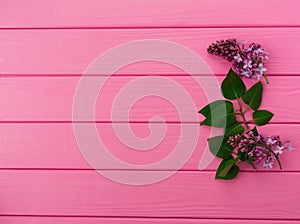 Summer abstract background mockup in corners flowers borders frames lilac bloom