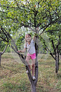 Summer Adventure: Little Girl Embraces Nature\'s Bounty in the Orchard