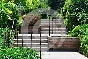 Summer alley city street view with concrete steps, green trees, plants and old wooden flowerbed with blooming lavender