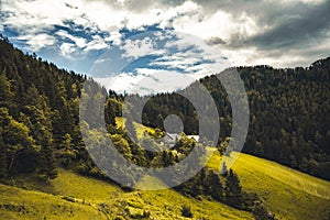 Summer alpine countryside landscape with high mountains and farms in the forest glade. Logar valley Logarska Dolina from the pan