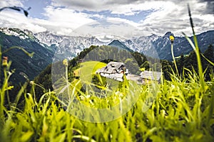 Summer alpine countryside landscape with high mountains and farms in the forest glade. Logar valley Logarska Dolina from the pan