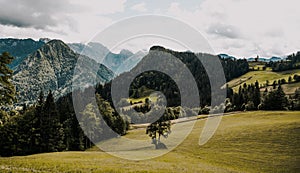 Summer alpine countryside landscape with high mountains and farms in the forest glade. Logar valley Logarska Dolina from the pan