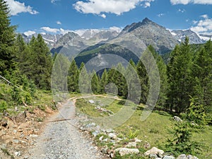 Summer Alpine landscape with country road in Val Malenco