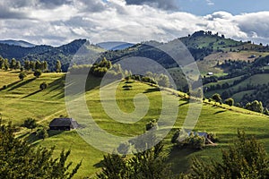 Summer alpine landscape with green fields and haystacks, Bran, Transylvania, Romania