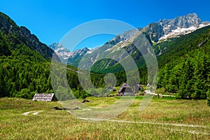 Summer alpine landscape with rural houses in Trenta valley, Slovenia photo