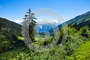 Summer Alpine landscape in Swiss canton of Grisons