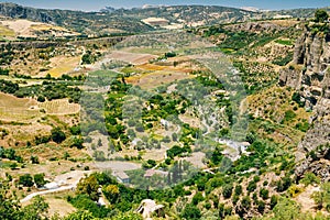 Summer Andalusian Lanscape Near Ronda, Malaga, Spain