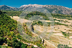 Summer Andalusian Lanscape Near Ronda, Spain