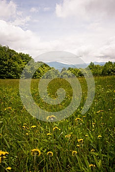 Summer Appalachian Trail Hike 2