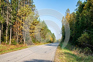 summer asphalt road in perspective