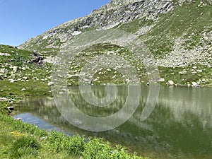 Estate atmosfera sul O da morto svizzero alta montagna La zona da montagna investire 