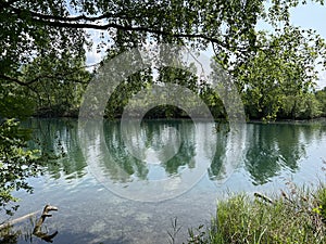 Summer atmosphere in the Nature and landscape protection area Old Rhine, Diepoldsau - Switzerland photo