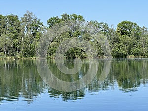 Summer atmosphere in the Old Rhine Nature Park, Lustenau - Vorfruehlings Stimmung im Naturpark Alter Rhein