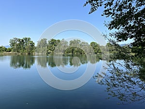 Summer atmosphere in the Old Rhine Nature Park, Lustenau - Vorfruehlings Stimmung im Naturpark Alter Rhein