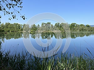 Summer atmosphere in the Old Rhine Nature Park, Lustenau - Vorfruehlings Stimmung im Naturpark Alter Rhein