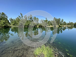 Summer atmosphere in the Old Rhine Nature Park, Lustenau - Vorfruehlings Stimmung im Naturpark Alter Rhein