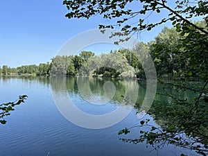 Summer atmosphere in the Old Rhine Nature Park, Lustenau - Vorfruehlings Stimmung im Naturpark Alter Rhein