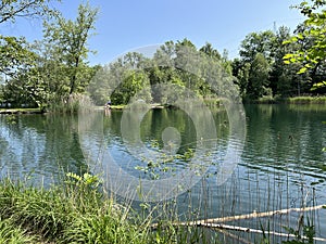 Summer atmosphere in the Old Rhine Nature Park, Lustenau - Vorfruehlings Stimmung im Naturpark Alter Rhein