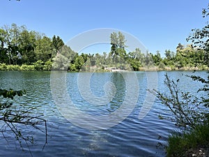 Summer atmosphere in the Old Rhine Nature Park, Lustenau - Vorfruehlings Stimmung im Naturpark Alter Rhein