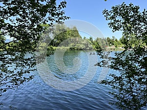 Summer atmosphere in the Old Rhine Nature Park, Lustenau - Vorfruehlings Stimmung im Naturpark Alter Rhein