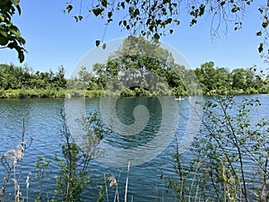 Summer atmosphere in the Old Rhine Nature Park, Lustenau - Vorfruehlings Stimmung im Naturpark Alter Rhein