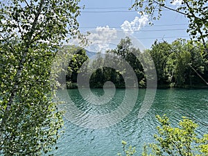 Summer atmosphere in the Old Rhine Nature Park, Lustenau - Vorfruehlings Stimmung im Naturpark Alter Rhein