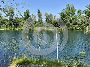 Summer atmosphere in the Old Rhine Nature Park, Lustenau - Vorfruehlings Stimmung im Naturpark Alter Rhein