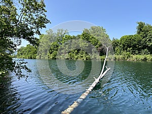 Summer atmosphere in the Old Rhine Nature Park, Lustenau - Vorfruehlings Stimmung im Naturpark Alter Rhein