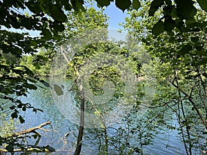 Summer atmosphere in the Old Rhine Nature Park, Lustenau - Vorfruehlings Stimmung im Naturpark Alter Rhein