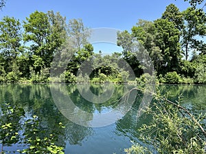 Summer atmosphere in the Old Rhine Nature Park, Lustenau - Vorfruehlings Stimmung im Naturpark Alter Rhein