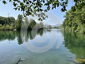 Summer atmosphere in the Old Rhine Nature Park, Lustenau - Vorfruehlings Stimmung im Naturpark Alter Rhein