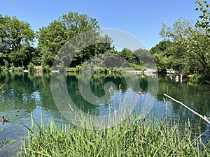 Summer atmosphere in the Old Rhine Nature Park, Lustenau - Vorfruehlings Stimmung im Naturpark Alter Rhein