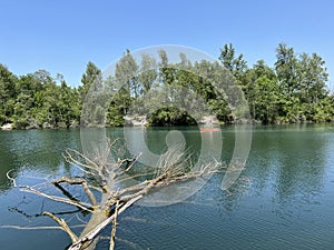 Summer atmosphere in the Old Rhine Nature Park, Lustenau - Vorfruehlings Stimmung im Naturpark Alter Rhein