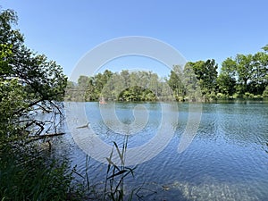 Summer atmosphere in the Old Rhine Nature Park, Lustenau - Vorfruehlings Stimmung im Naturpark Alter Rhein