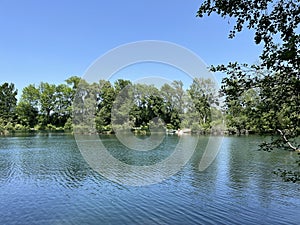 Summer atmosphere in the Old Rhine Nature Park, Lustenau - Vorfruehlings Stimmung im Naturpark Alter Rhein