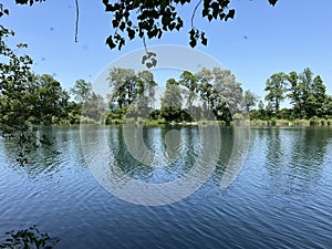 Summer atmosphere in the Old Rhine Nature Park, Lustenau - Vorfruehlings Stimmung im Naturpark Alter Rhein