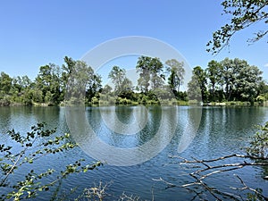 Summer atmosphere in the Old Rhine Nature Park, Lustenau - Vorfruehlings Stimmung im Naturpark Alter Rhein