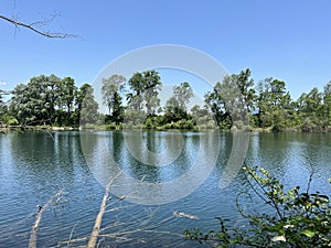 Summer atmosphere in the Old Rhine Nature Park, Lustenau - Vorfruehlings Stimmung im Naturpark Alter Rhein