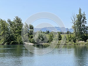 Summer atmosphere in the Old Rhine Nature Park, Lustenau - Vorfruehlings Stimmung im Naturpark Alter Rhein